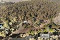 Property photo of 148 Macquarie Street Noggerup WA 6225