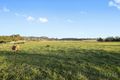 Property photo of 581 Glendonbrook Road Glendon Brook NSW 2330