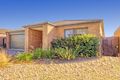Property photo of 24 Kingbird Avenue Tarneit VIC 3029