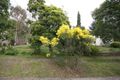 Property photo of 1 Alvena Crescent Heathmont VIC 3135