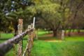 Property photo of 5 Lemmons Road Robertson NSW 2577