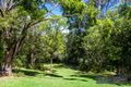 Property photo of 17 Babbling Brook Place Eumundi QLD 4562