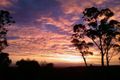 Property photo of 39860 Tasman Highway Nunamara TAS 7259
