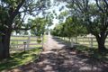 Property photo of 282 Mitchell Highway Montefiores NSW 2820