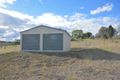 Property photo of 43 Anemone Street Killarney QLD 4373
