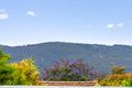 Property photo of 11 Lothian Avenue Windsor Gardens SA 5087