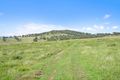 Property photo of 32 Bakewell Circuit Scone NSW 2337