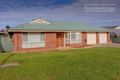 Property photo of 17 Honeysuckle Street Thurgoona NSW 2640