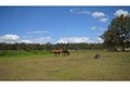 Property photo of 30 Carlie Court Tamborine QLD 4270