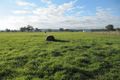 Property photo of 87 Victoria Street Briagolong VIC 3860