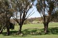 Property photo of 147 Kitchenhams Road Benloch VIC 3435