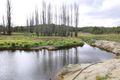 Property photo of 184 Glen Barra Road Watsons Creek NSW 2355