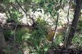 Property photo of LOT 500 Arborcrescent Road Glenwood QLD 4570