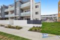 Property photo of 21/4 Sapling Street Harrison ACT 2914