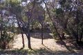Property photo of 28 Nerissa Street Rye VIC 3941