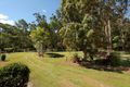 Property photo of 69 Eudlo Flats Road Diddillibah QLD 4559