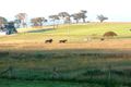 Property photo of 55 Fleming Drive Laffing Waters NSW 2795