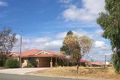 Property photo of 61 Scaddan Street Bassendean WA 6054