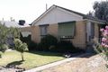 Property photo of 376 Eden Street Lavington NSW 2641