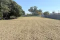 Property photo of 64 Jones Avenue Moree NSW 2400