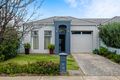 Property photo of 19 Meredith Avenue Glengowrie SA 5044