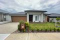 Property photo of 14 Basalt Drive Clyde North VIC 3978