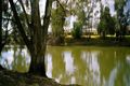 Property photo of 11 Kidman Reid Drive Murray Downs NSW 2734