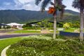 Property photo of 19 Springbrook Avenue Redlynch QLD 4870