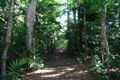 Property photo of 144 Allan Road Conway QLD 4800