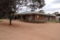Property photo of 56 Slaughter Road Loveday SA 5345