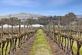Property photo of 125 Larcombes Road Modewarre VIC 3240