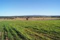Property photo of 6 Pyrus Avenue Branxton NSW 2335