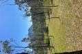 Property photo of 3841 Boonah-Rathdowney Road Rathdowney QLD 4287