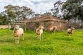 Property photo of 132 Gaffney Road Willunga SA 5172