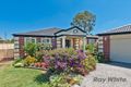 Property photo of 17 Rufus Court Albany Creek QLD 4035