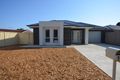 Property photo of 18 Coleridge Crescent Clearview SA 5085