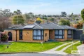Property photo of 366 Sutherland Street Lavington NSW 2641