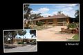 Property photo of 6 Pelham Road Risdon Park South SA 5540