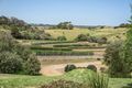 Property photo of 675 Truemans Road Fingal VIC 3939