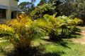 Property photo of 654 Scotts Head Road Way Way NSW 2447