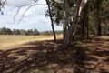 Property photo of 17 Jacaranda Close Chittering WA 6084