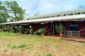 Property photo of 2037 Endeavour Valley Road Cooktown QLD 4895