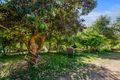 Property photo of 229 Goodland Road Wilmot TAS 7310