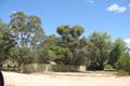 Property photo of 28 Morris Street Loveday SA 5345