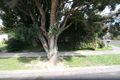 Property photo of 5 Acacia Road Upper Ferntree Gully VIC 3156