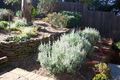 Property photo of 14 Warwick Street Katoomba NSW 2780