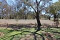 Property photo of 188 Mt Buller Road Mansfield VIC 3722