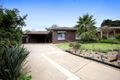 Property photo of 3 Patey Close Ashmont NSW 2650