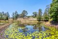 Property photo of 38 Green Trees Road Pie Creek QLD 4570