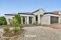 Property photo of 54 Littlecroft Avenue Narre Warren South VIC 3805